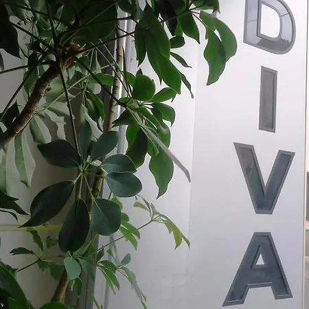 Divan 사라예보